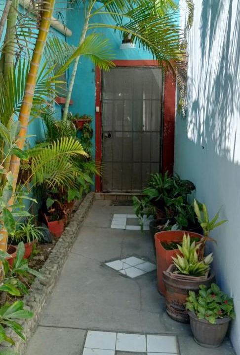 Photo of Others in Downtown Mazatlan