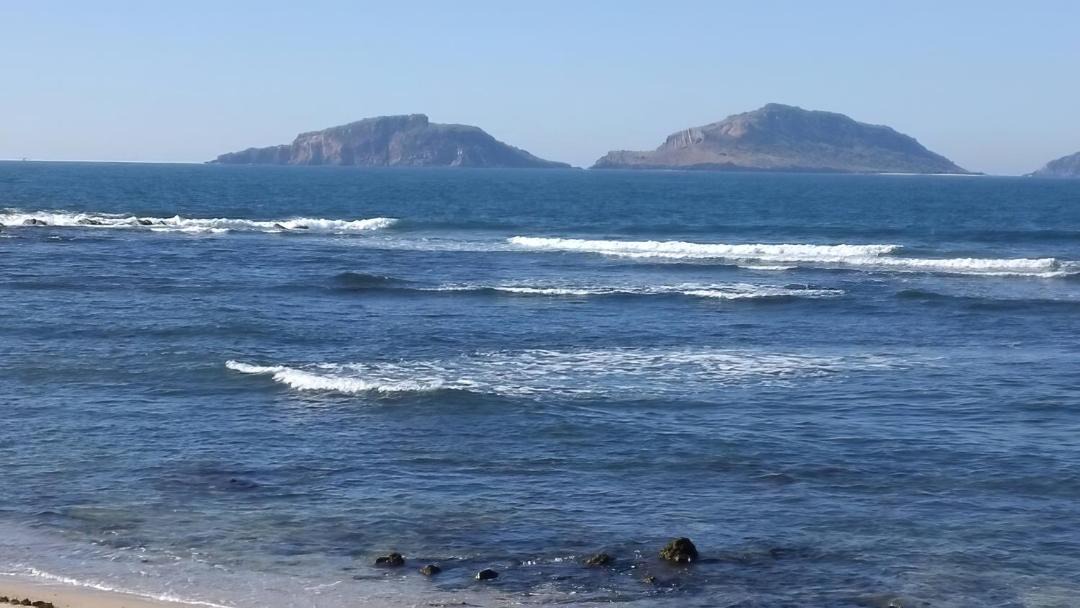 Photo of Others in Downtown Mazatlan