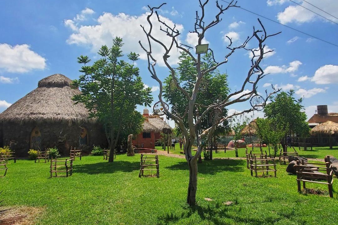 Photo of Others in Tepatitlan de Morelos