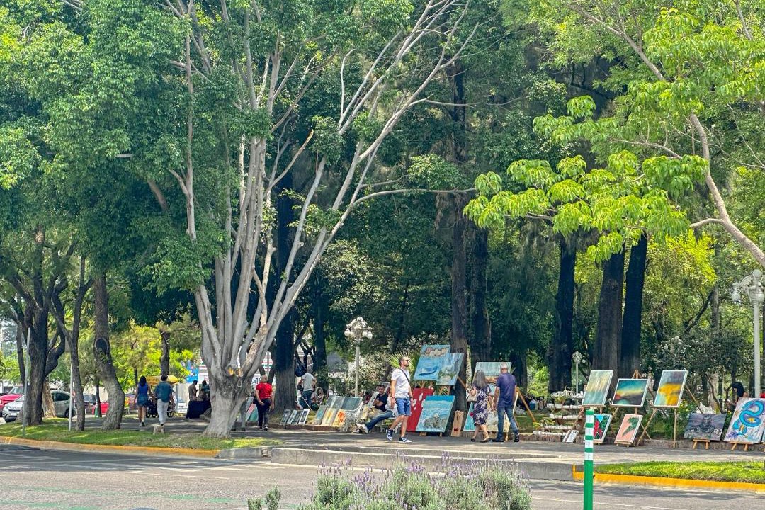 Photo of Others in Chapalita