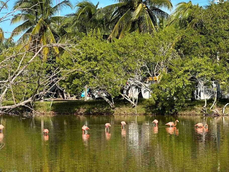 Photo of Others in San Crisanto