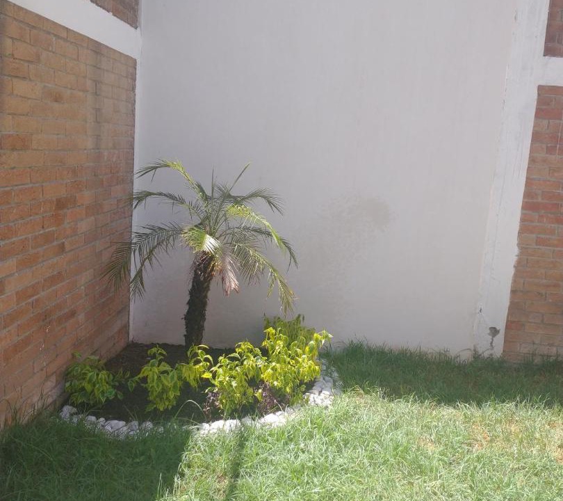 Photo of Others in Morelia