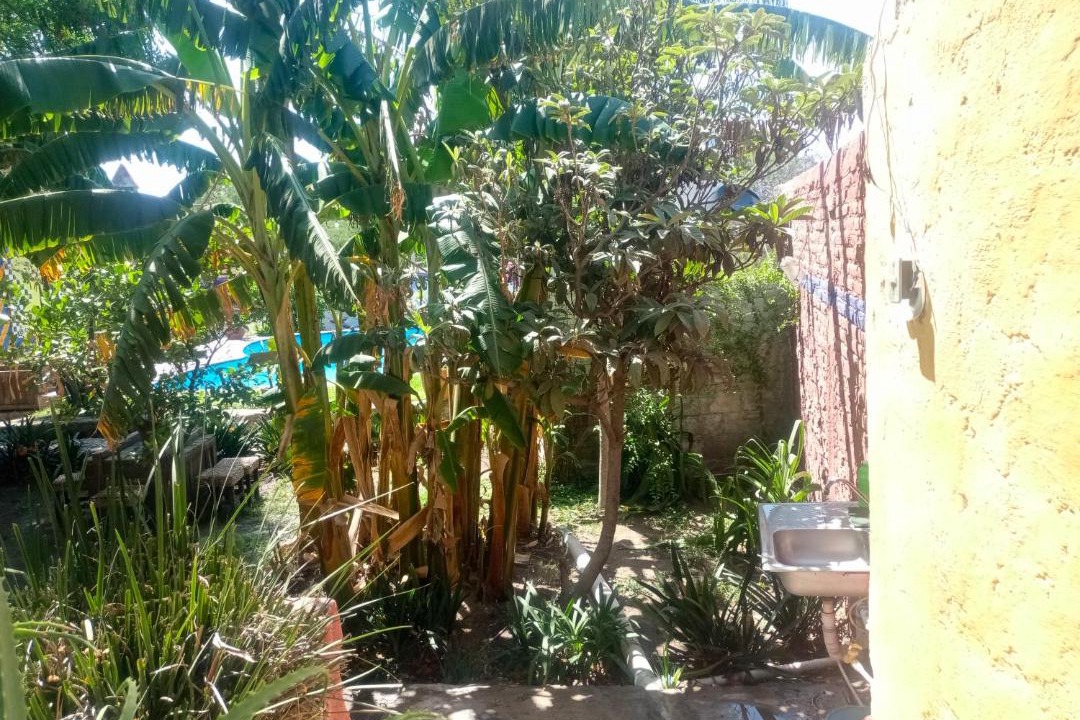 Photo of Others in San Juan del Rio