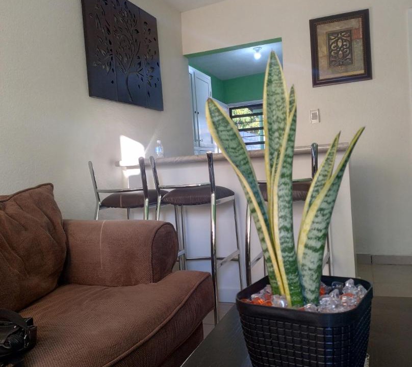 Photo of Livingroom in Puerto Penasco