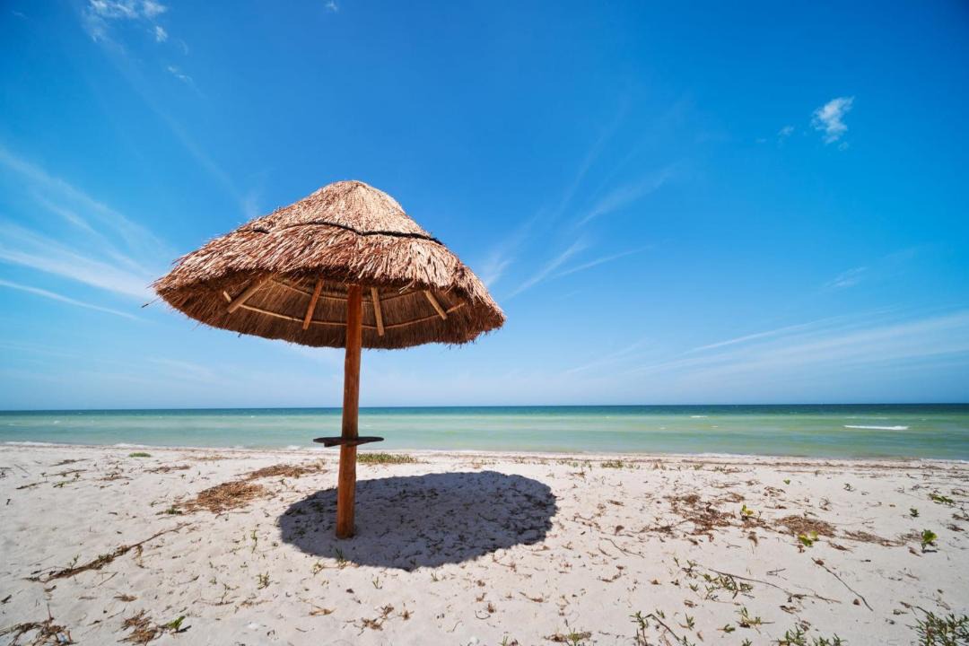 Photo of Others in Miramar