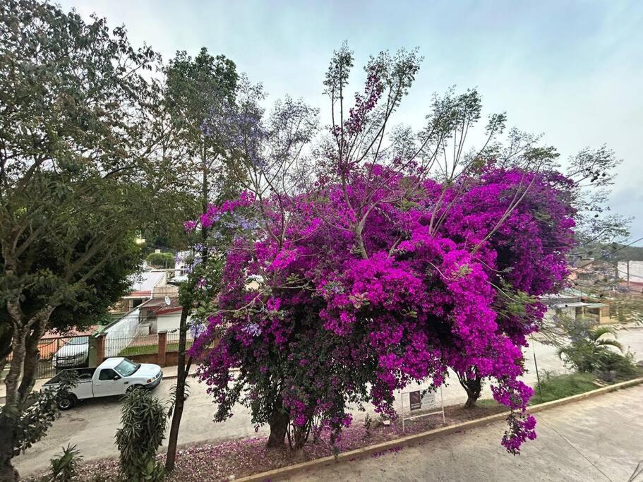 Photo of Others in Xalapa