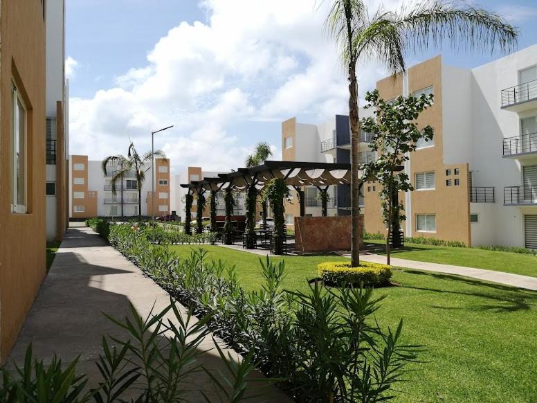 Photo of Others in Yecapixtla