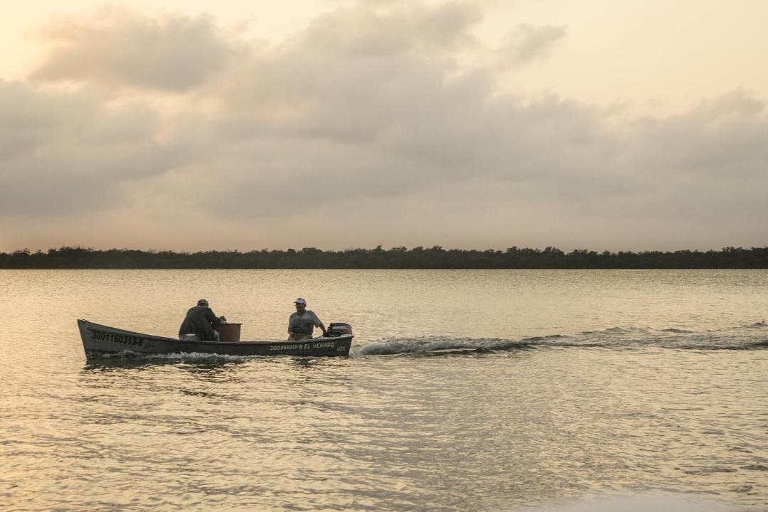 Photo of Others in Tuxpan
