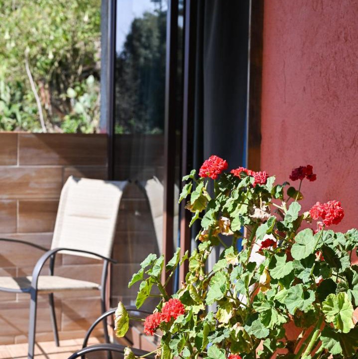 Photo of Patio Balcony in San Jose del Pacifico
