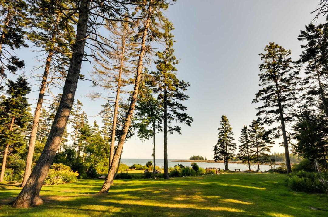 Photo of Others in Prospect Harbor