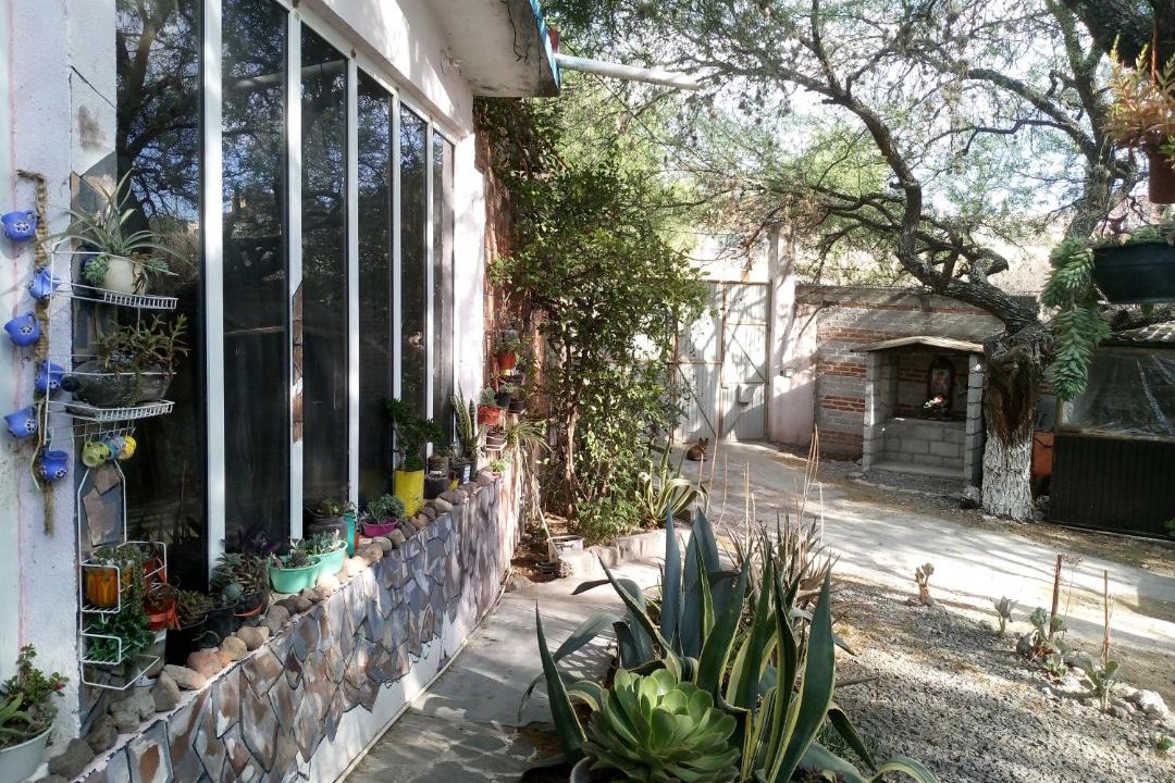 Photo of Others in San Miguel de Allende