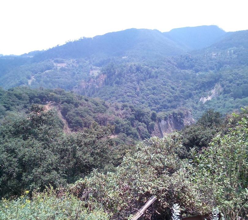 Photo of Others in Chignahuapan