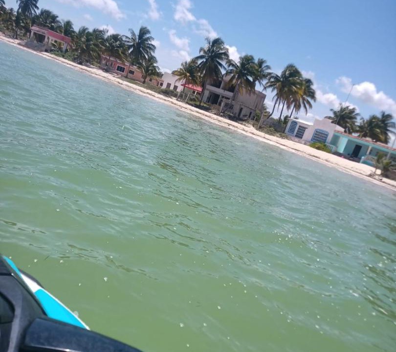 Photo of Others in Chicxulub Puerto
