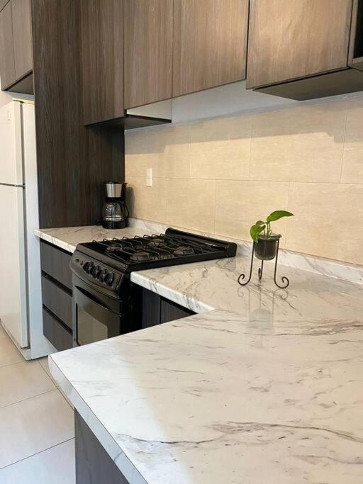 Photo of Kitchen in Leon