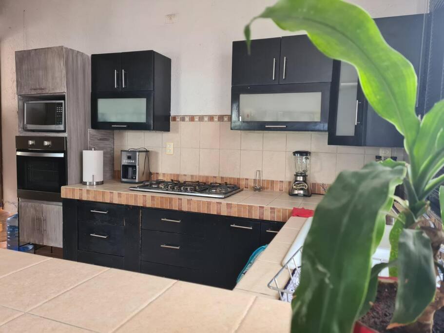 Photo of Kitchen in Tres de Mayo