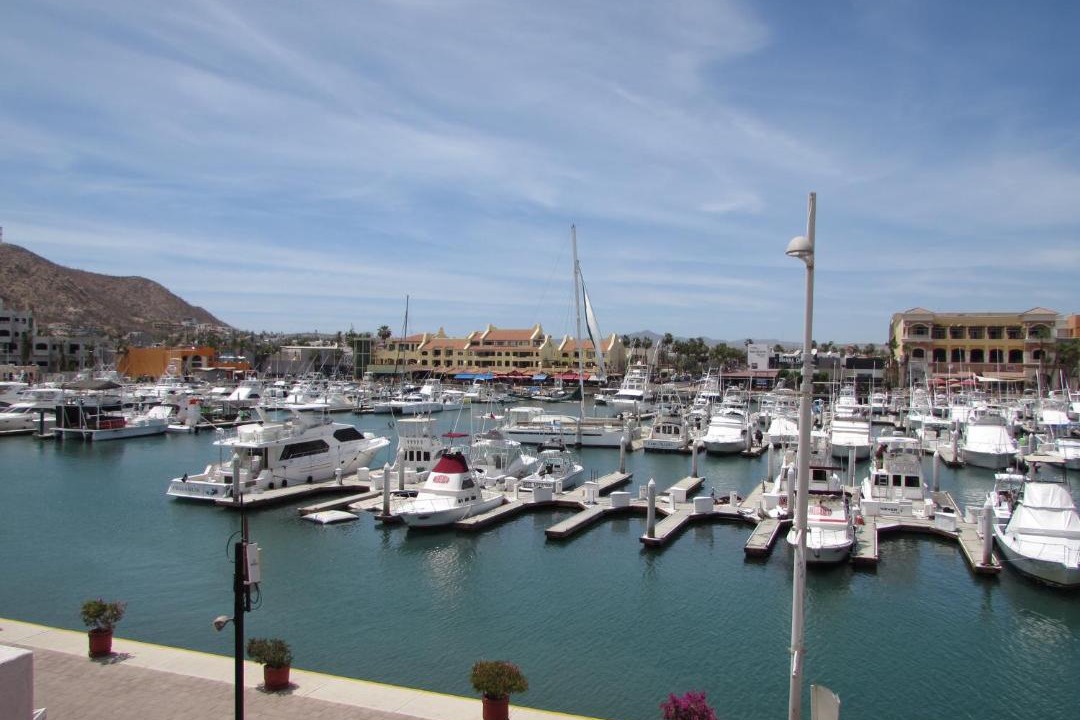 Photo of Others in Marina