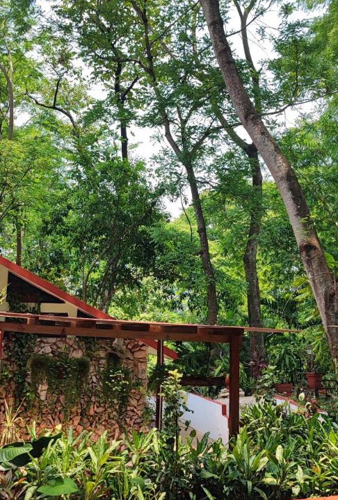 Photo of Others in Palenque