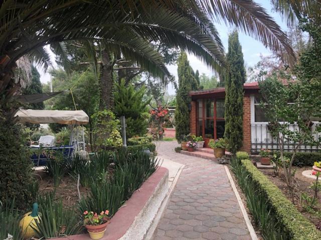 Photo of Others in Texcoco de Mora