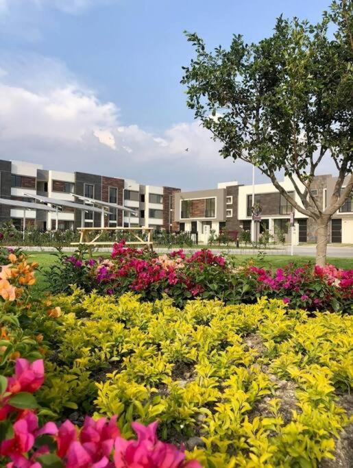 Photo of Buildings in Cuautlancingo