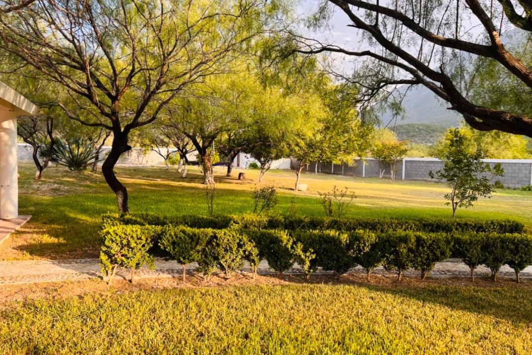 Photo of Others in Monterrey