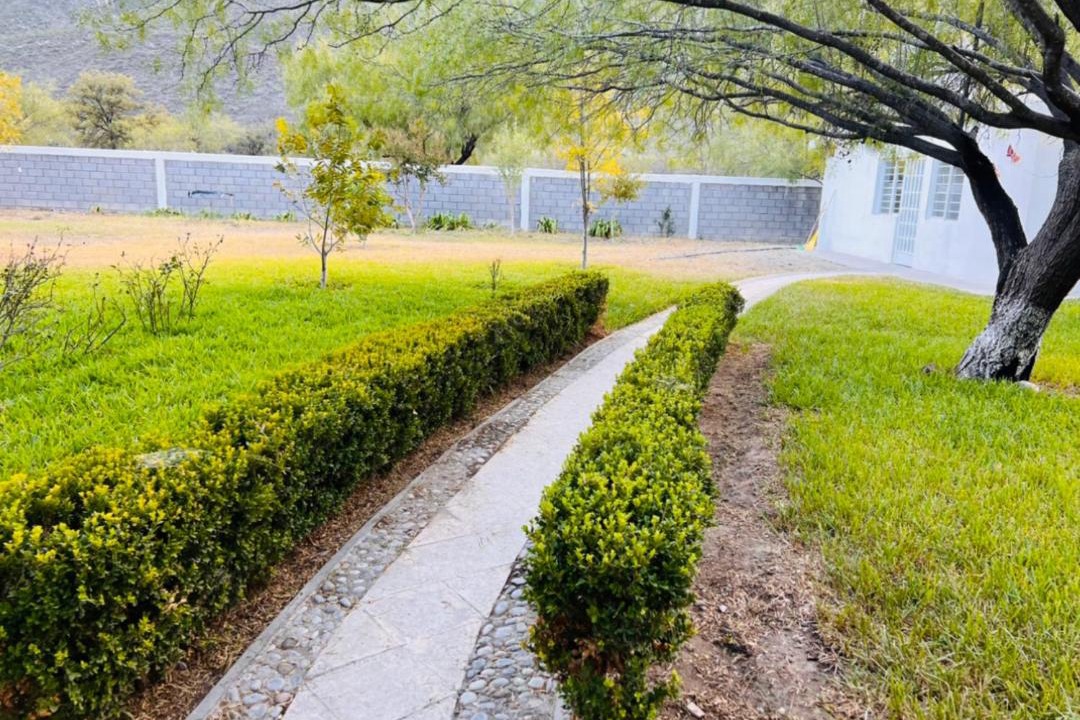 Photo of Others in Monterrey