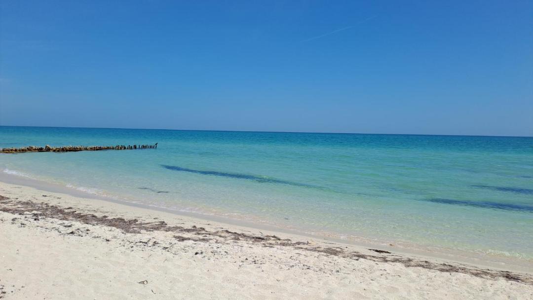 Photo of Outdoor in Chelem