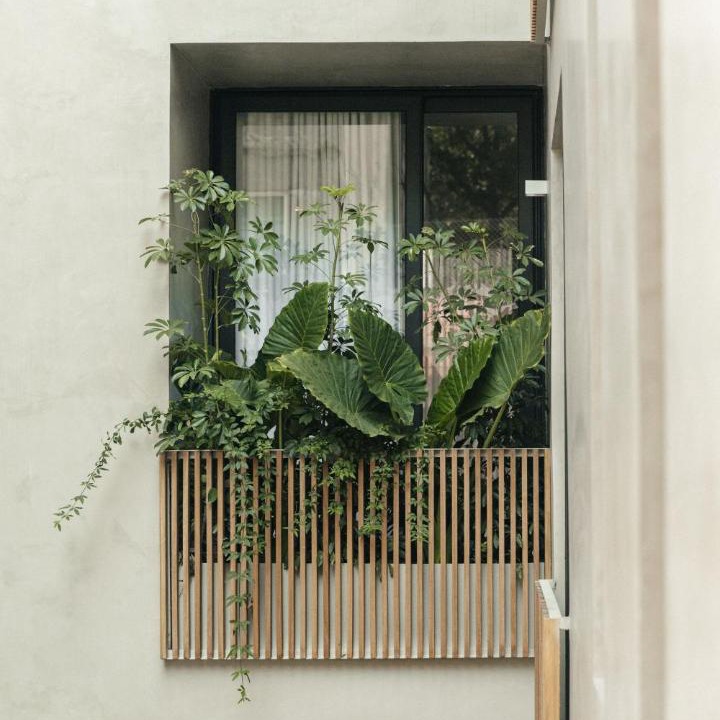 Photo of Others in La Condesa