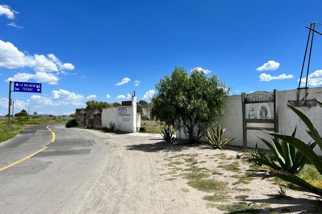 Photo of Others in Huamantla