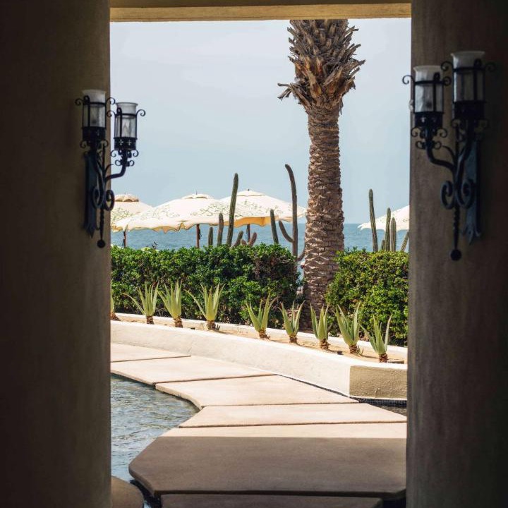 Photo of Others in Pedregal