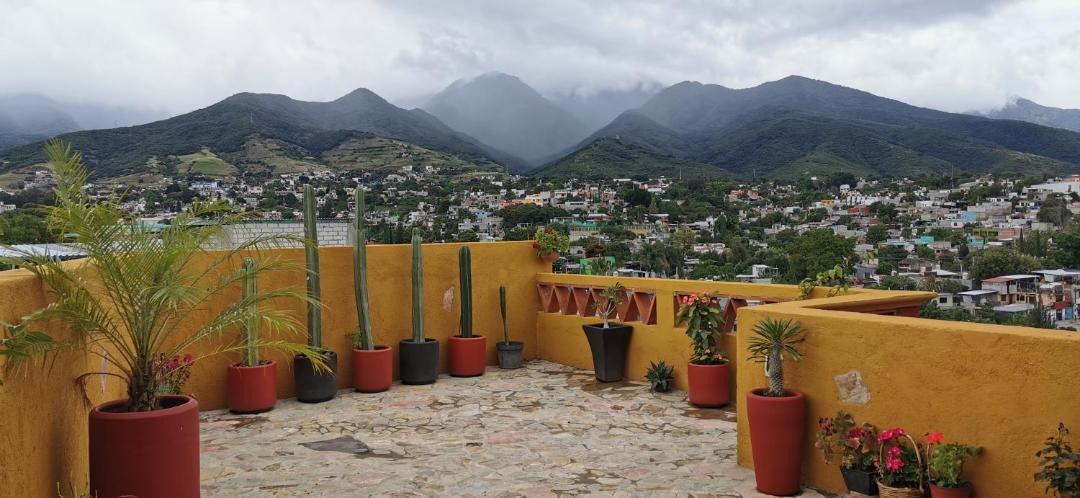 Photo of Others in Oaxaca