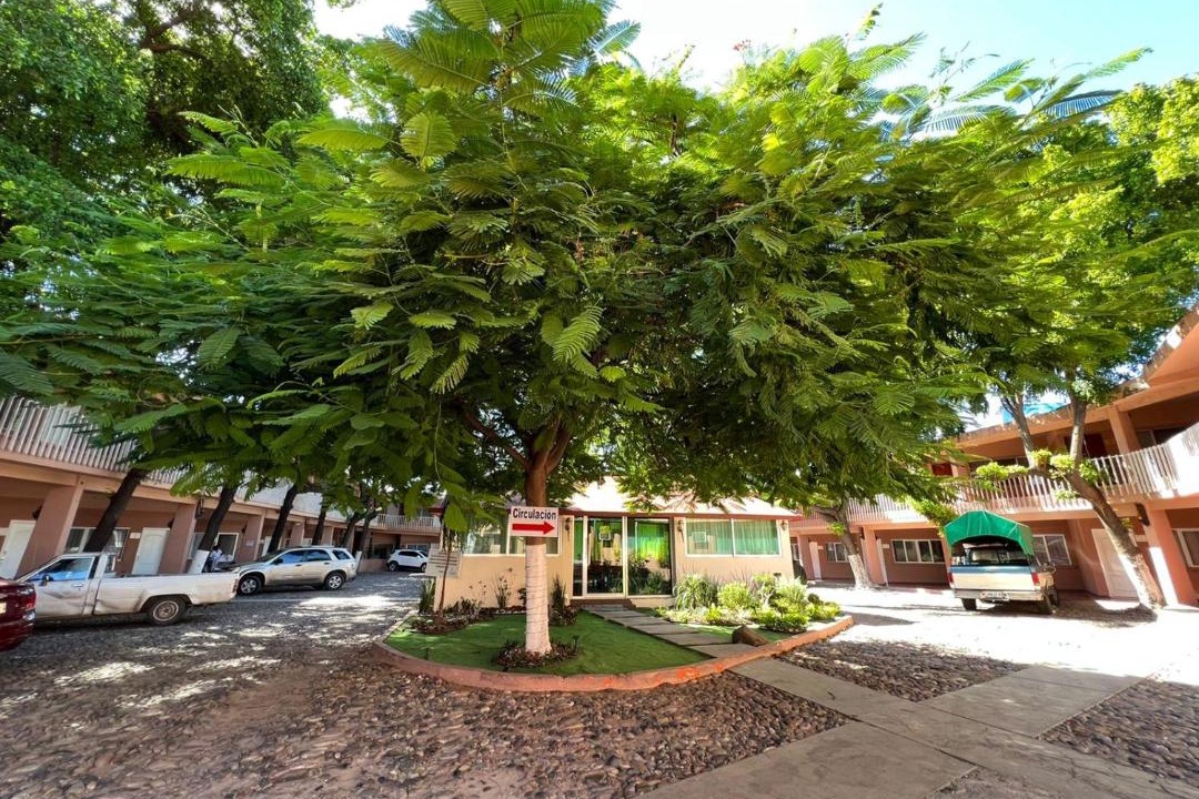 Photo of Others in Culiacan