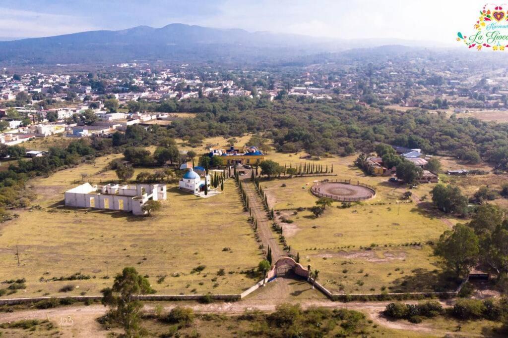 Photo of Others in Nopala