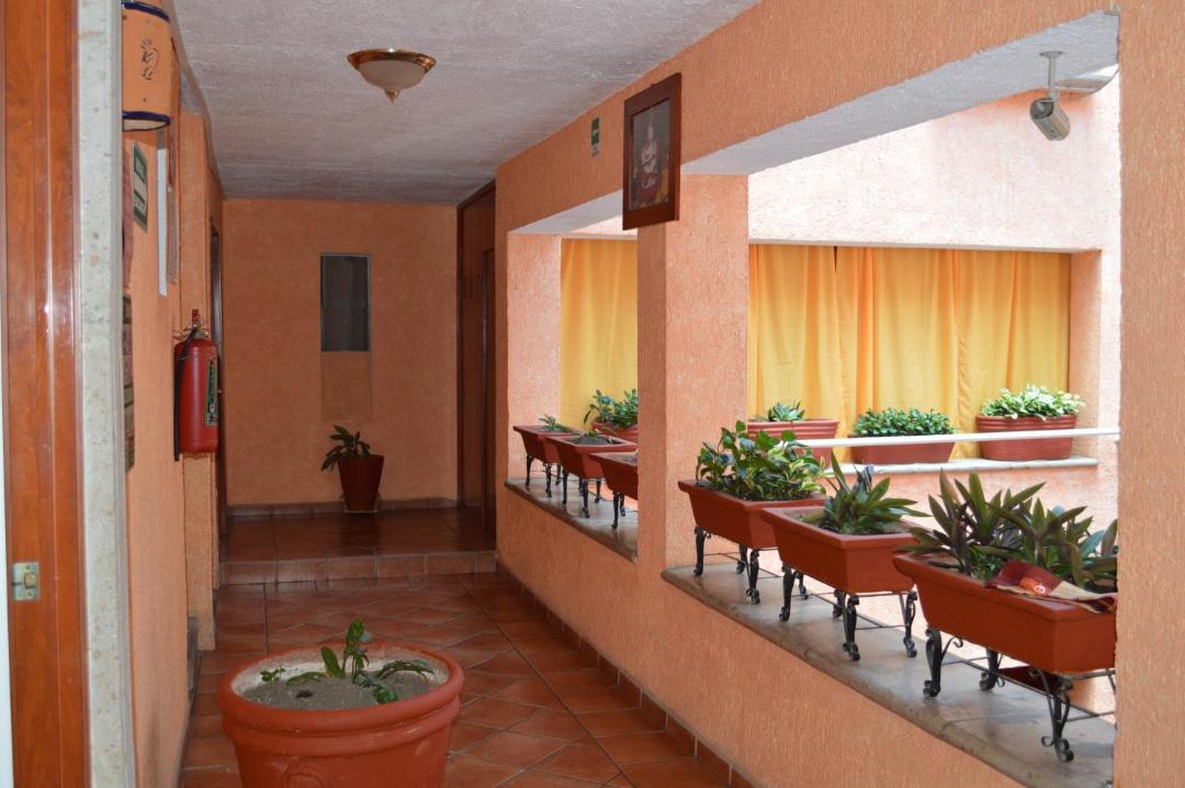 Photo of Livingroom in Tequila