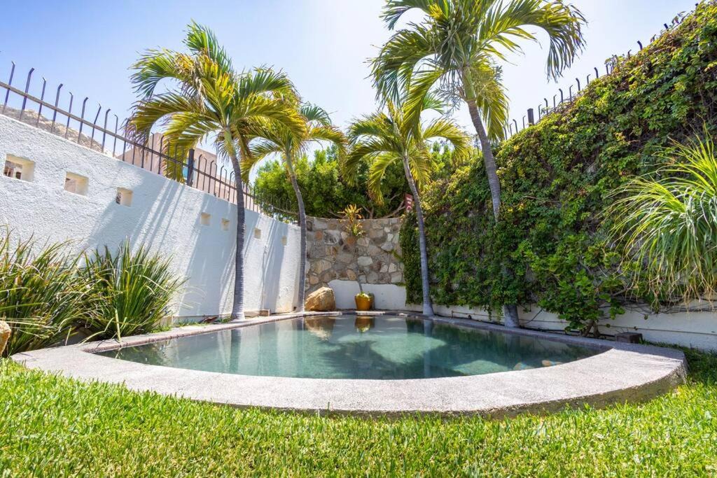 Photo of Others in Pedregal