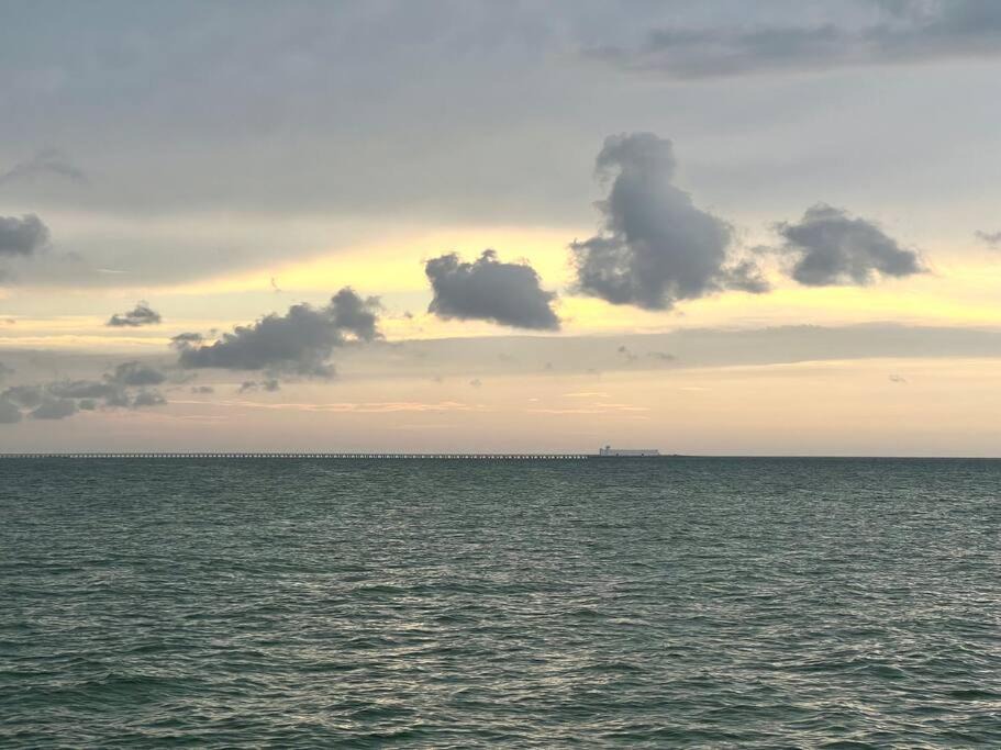 Photo of Others in Chicxulub Puerto