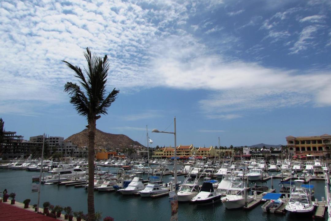 Photo of Others in Marina