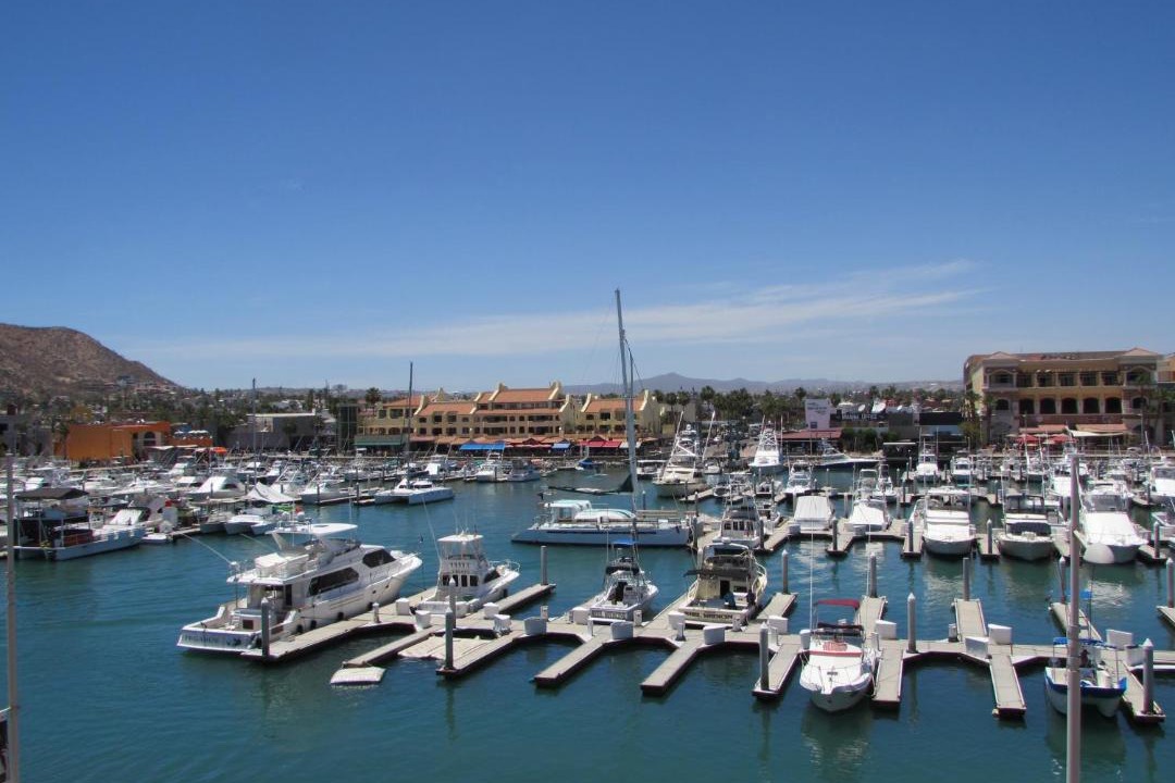 Photo of Others in Marina