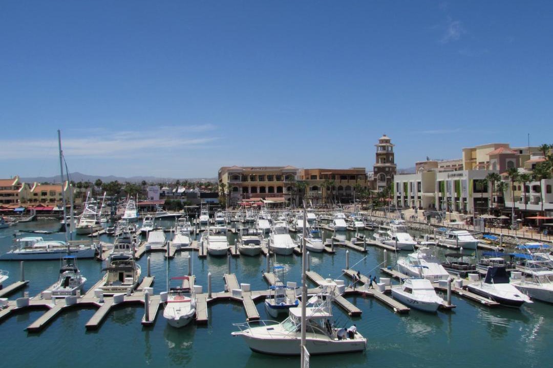 Photo of Others in Marina