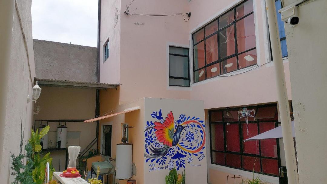 Photo of Others in Centro de la Ciudad