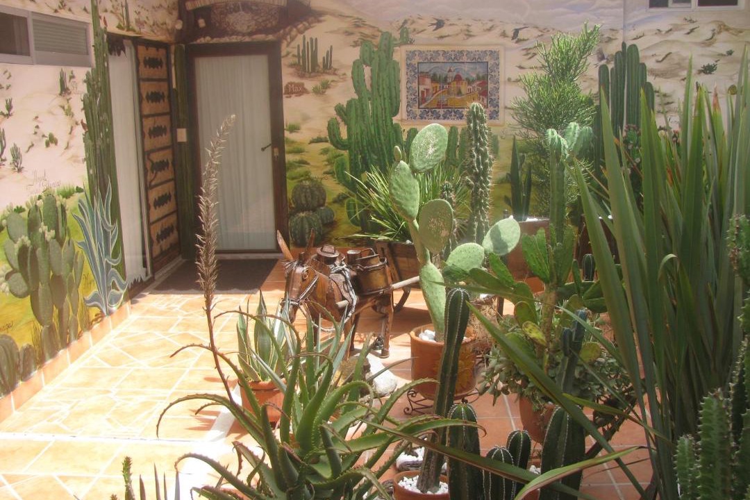 Photo of Others in Zona Centro