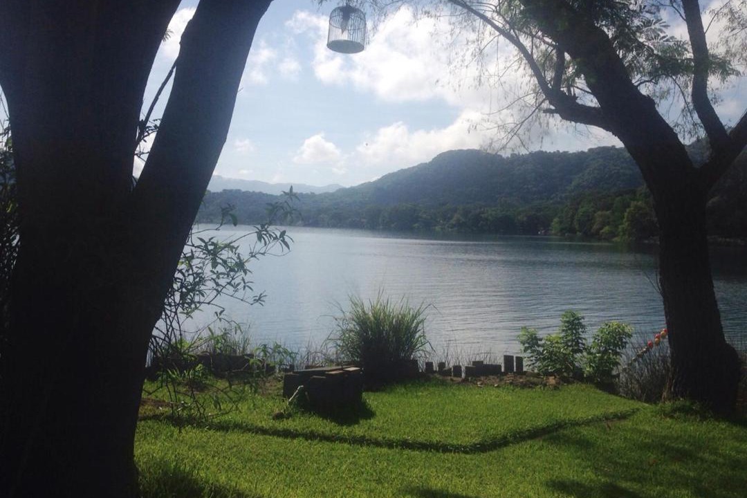 Photo of Others in La Laguna