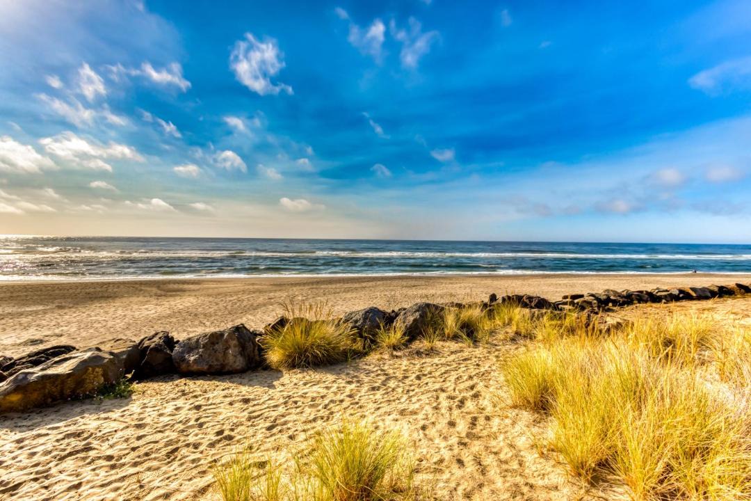 Photo of Outdoor in Neskowin