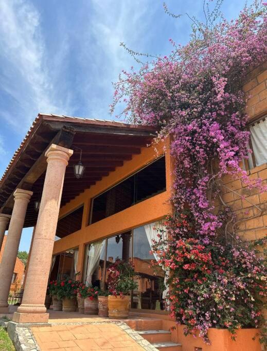 Photo of Others in Huasca De Ocampo