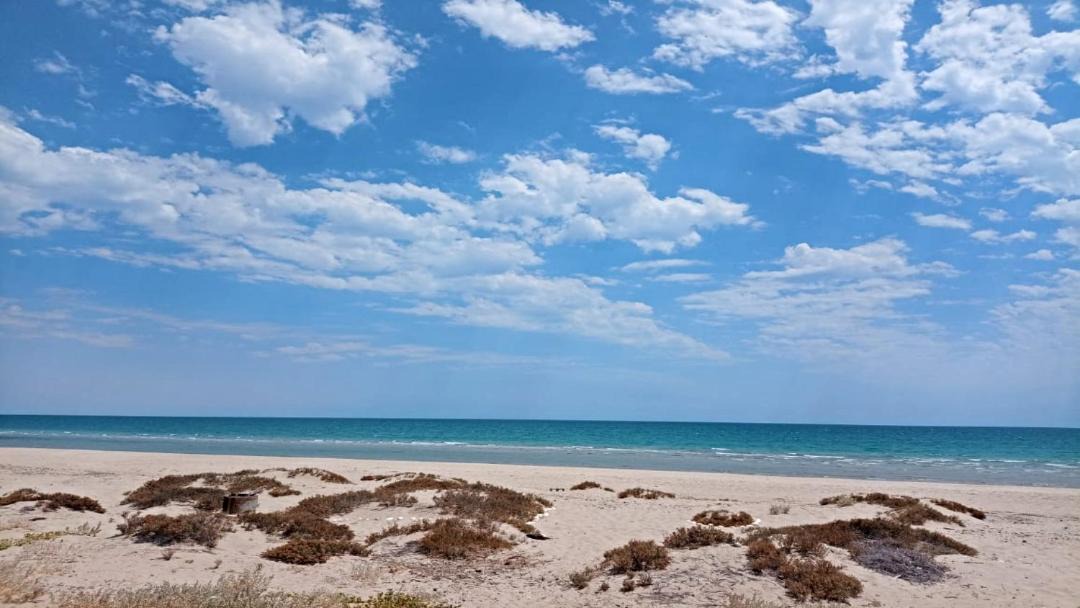 Photo of Others in Puerto Penasco