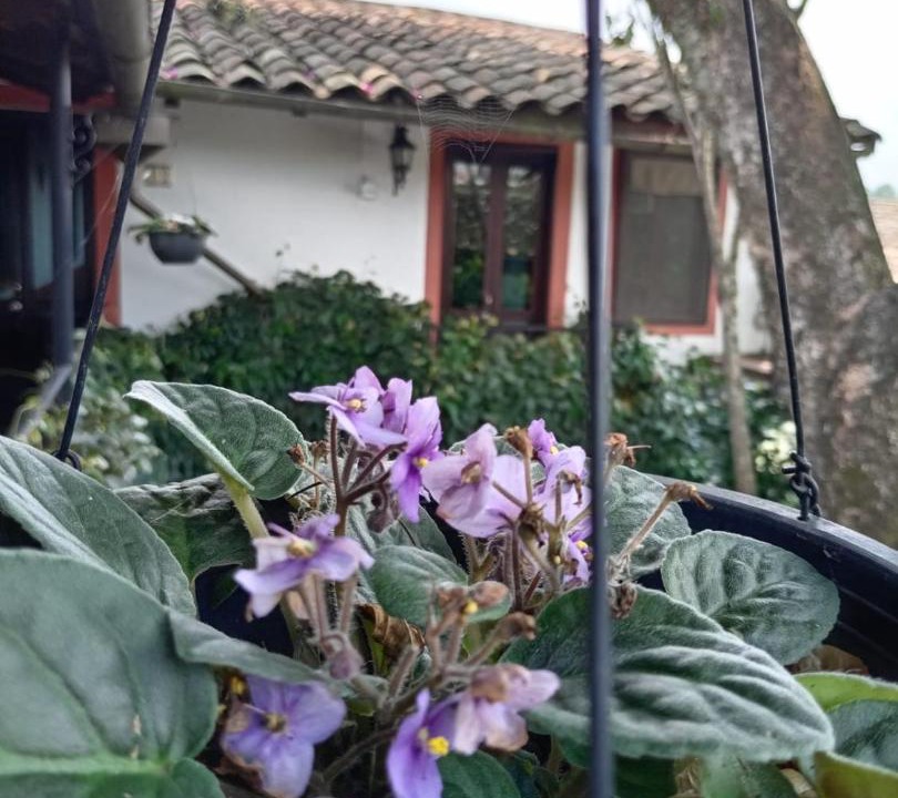 Photo of Others in Coatepec