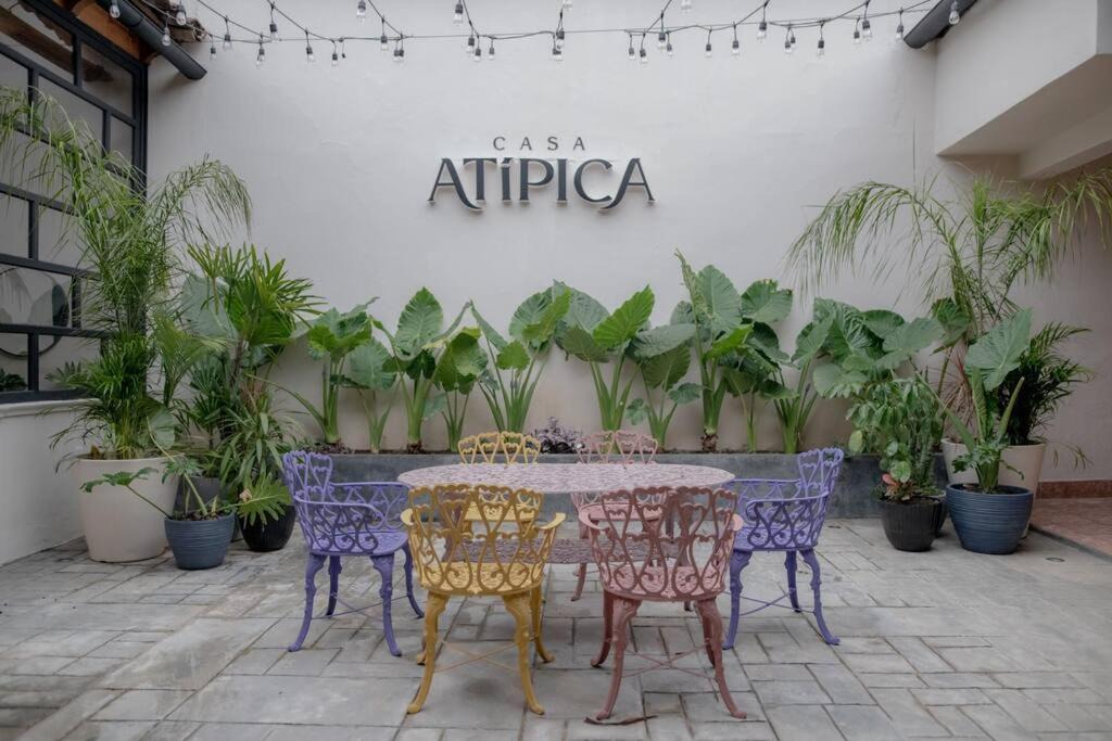 Photo of Patio Balcony in Zona Centro