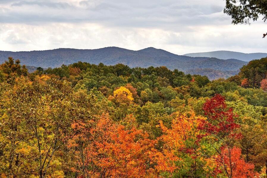 Photo of Others in Blue Ridge