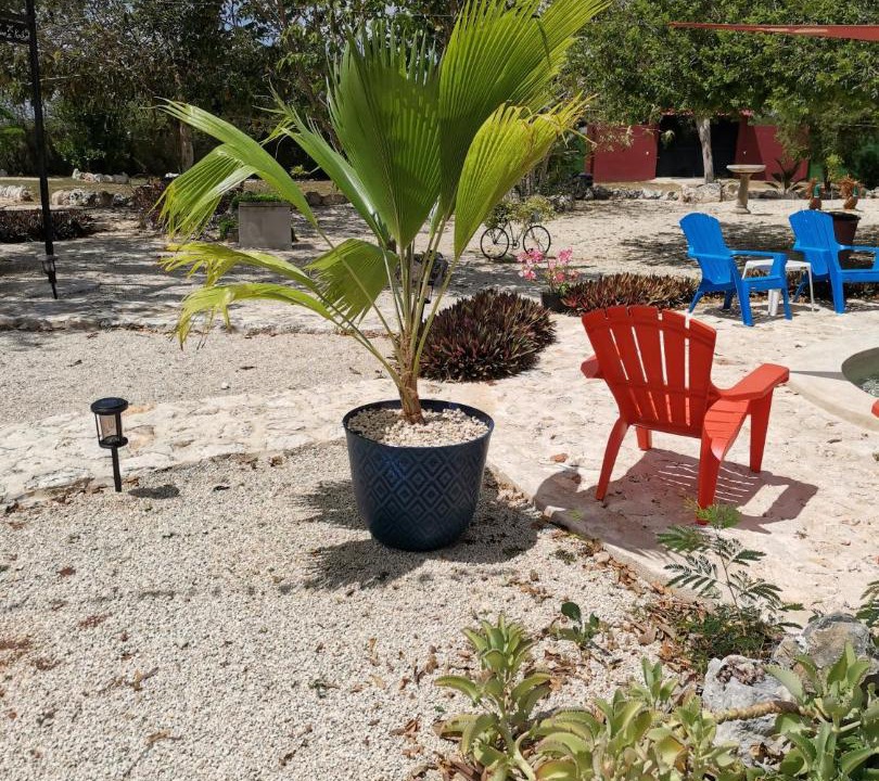 Photo of Others in Tixpehual