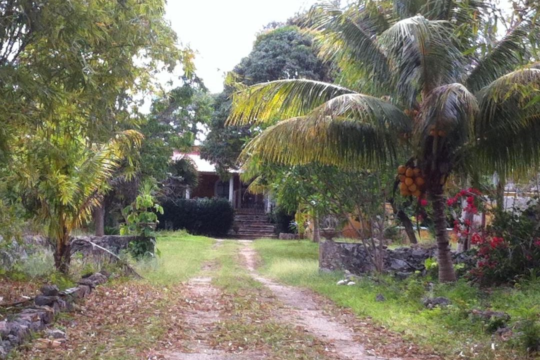 Photo of Outdoor in Seye