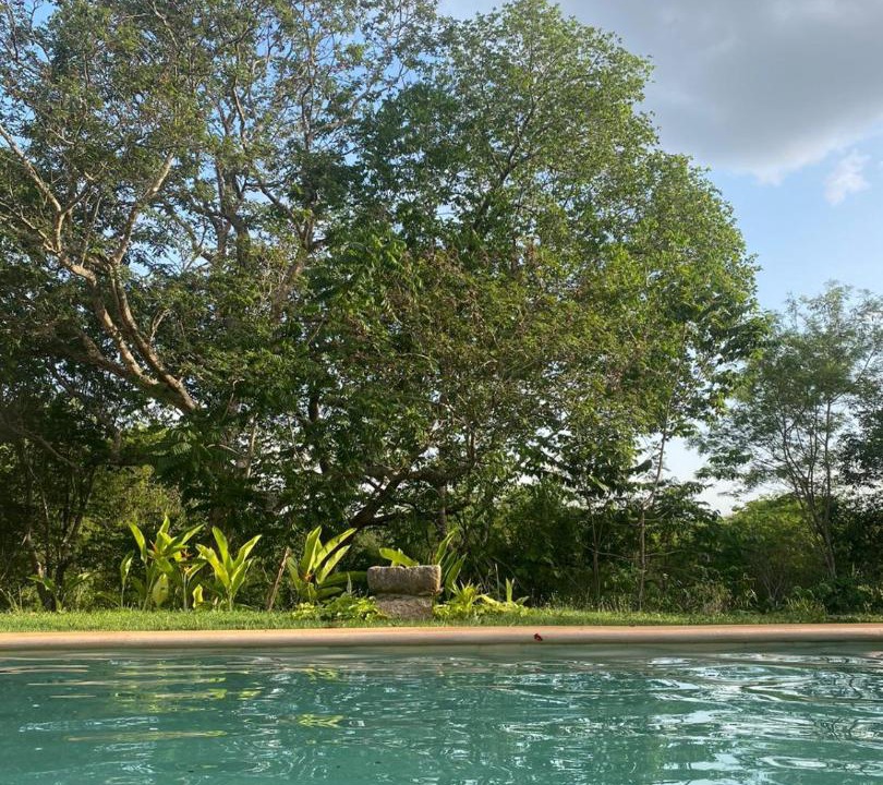 Photo of Outdoor in Seye